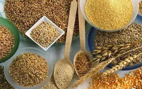 七彩藜麥繪豐收 文冠果樹綻新篇——伏龍坪街道二營村特色農業助力新農村發展